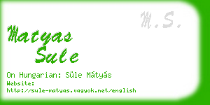 matyas sule business card